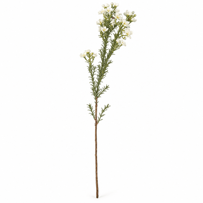 Homeware  -  Cream Wax Flower Spray - 66cm  -  60487335