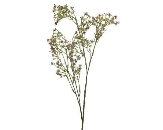 Gardening  -  Dandelion Spray - Lilac  -  60009642
