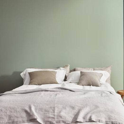 Paint  -  Dulux Easy Care Matt 5L Paint - Willow Tree  -  60005890