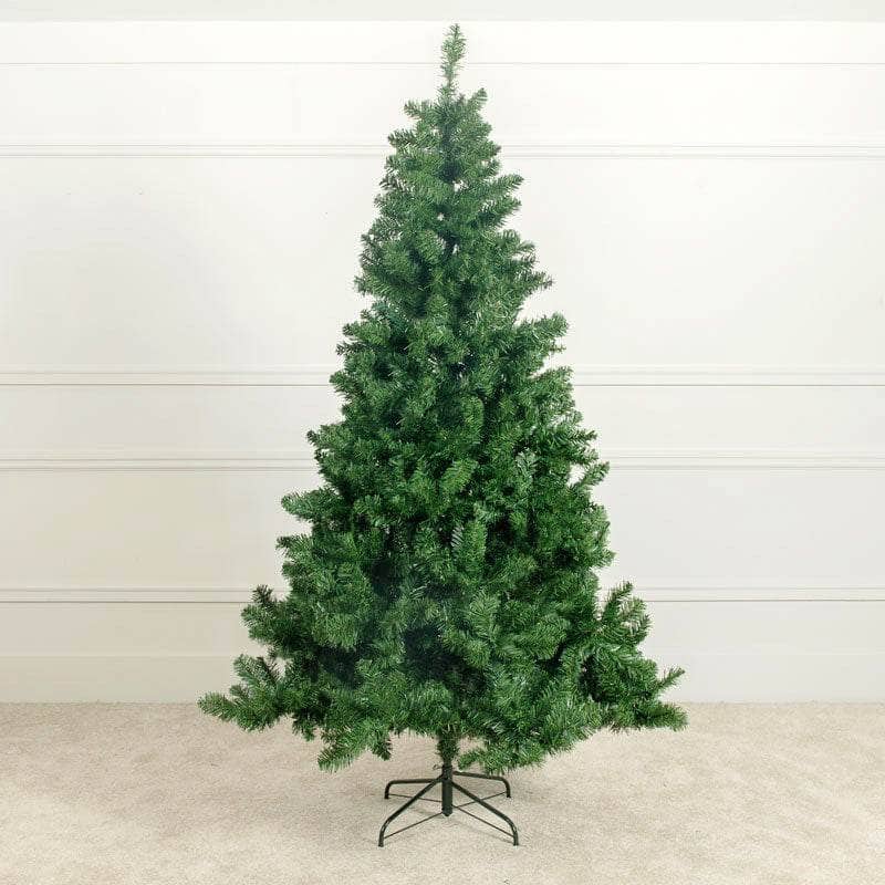 Christmas  -  Edmonton River Pine 7ft Christmas Tree  -  50129003