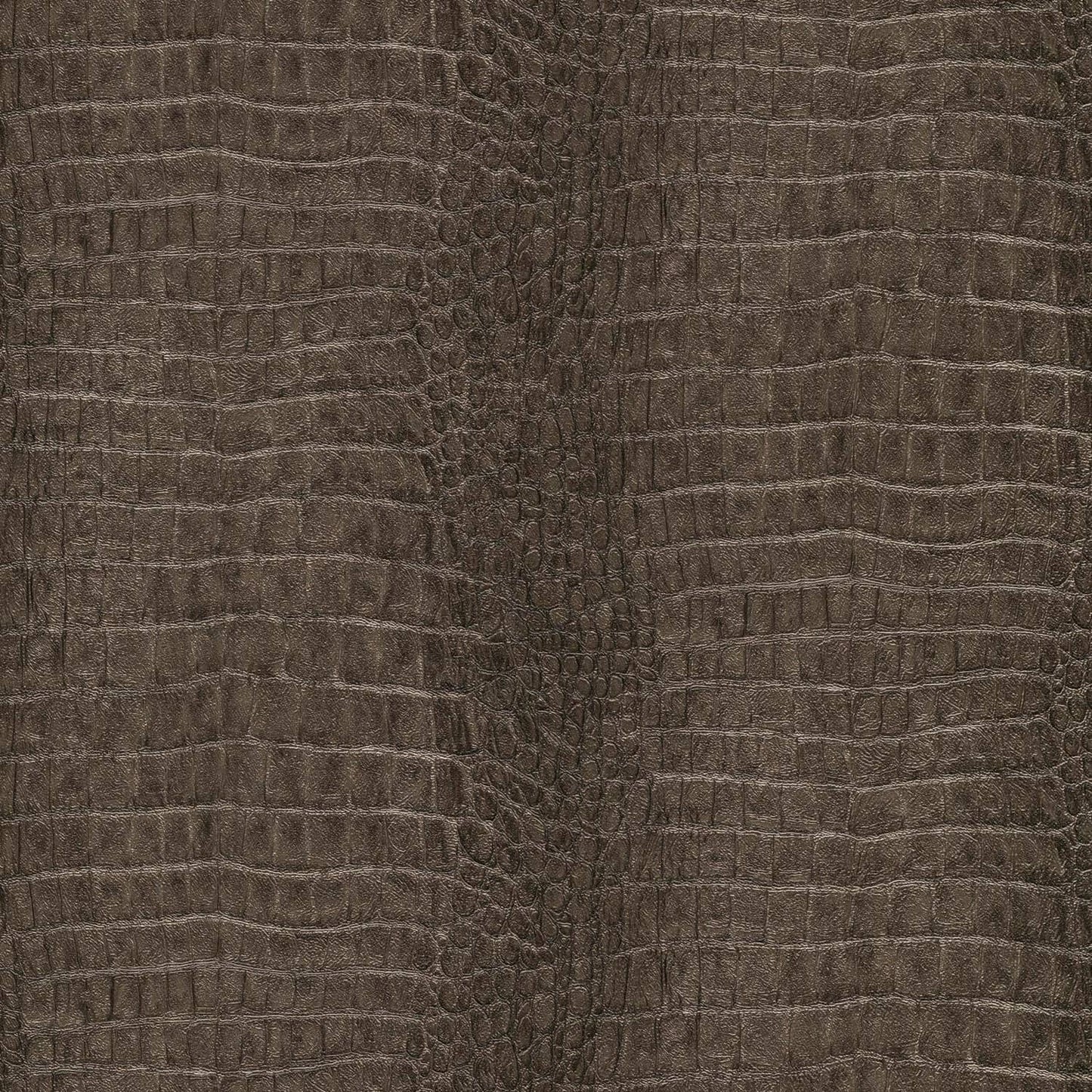 Active  -  Erismann Wild Lagoon Brown - 12267-11  -  60486501