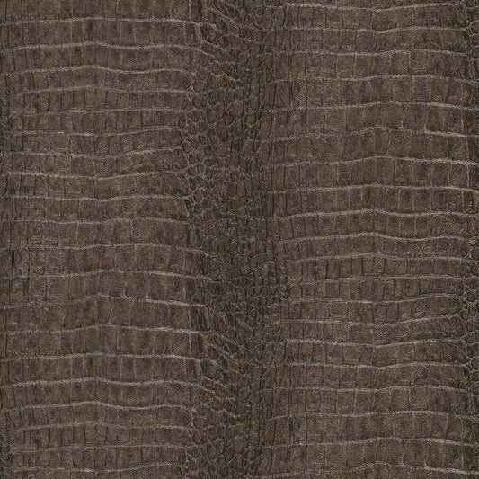 Active  -  Erismann Wild Lagoon Brown - 12267-11  -  60486501