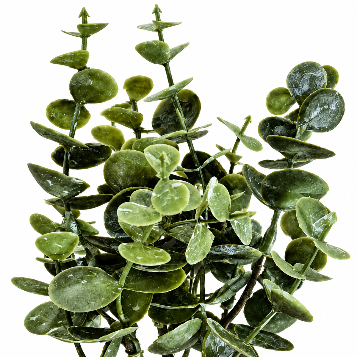 Eucalyptus Pick 20cm close-up green eucalyptus leaves festive decorative spray