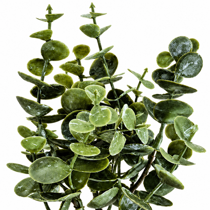 Eucalyptus Pick 20cm close-up green eucalyptus leaves festive decorative spray