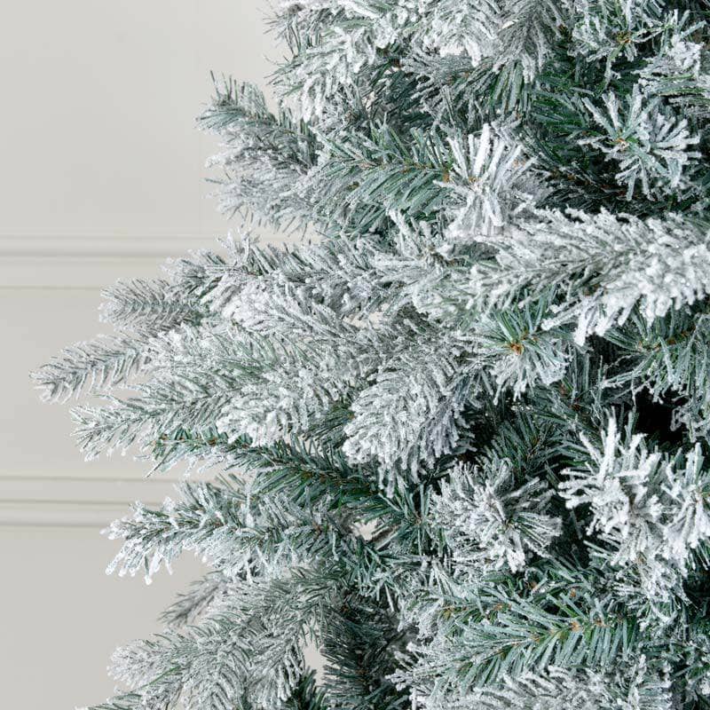 Christmas  -  Frosted Vermont Christmas Tree - 8ft  -  50128999