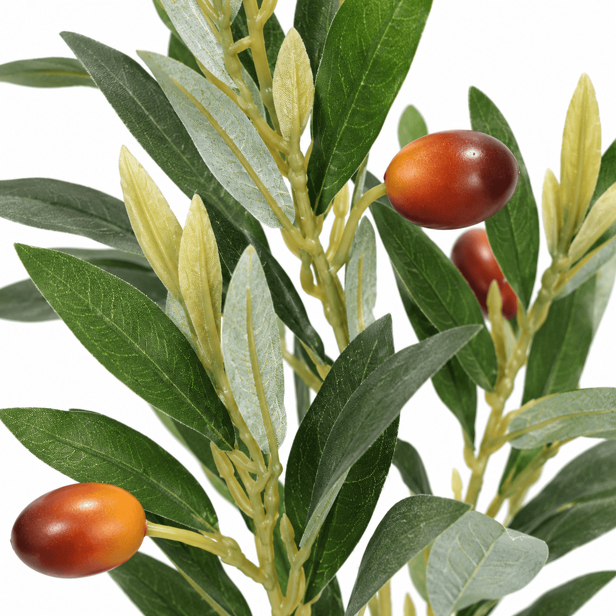 Homeware  -  Green Olive Spray - 68cm  -  60487323