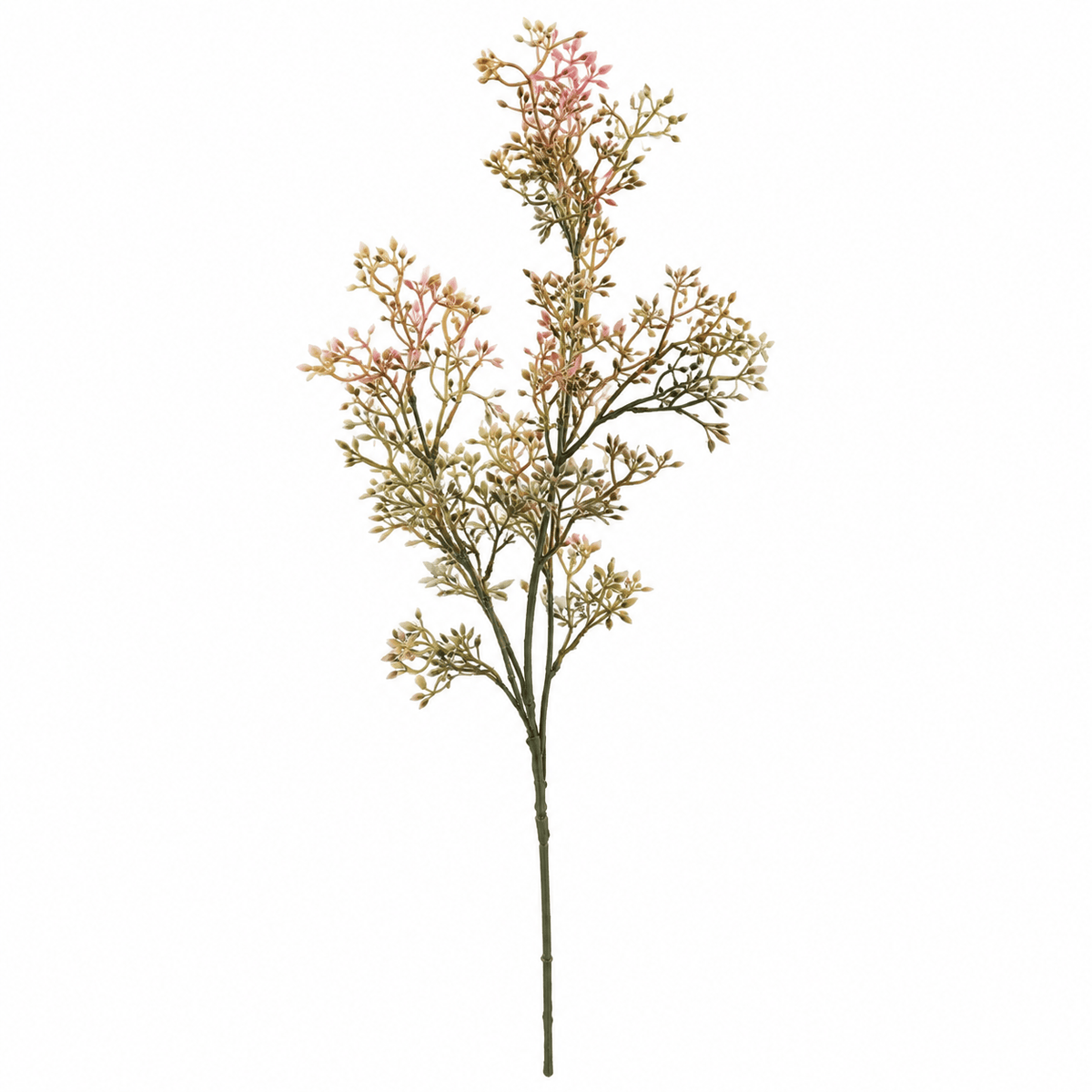 Homeware  -  Green Seeding Forest Elder Spray- 74cm  -  60487328