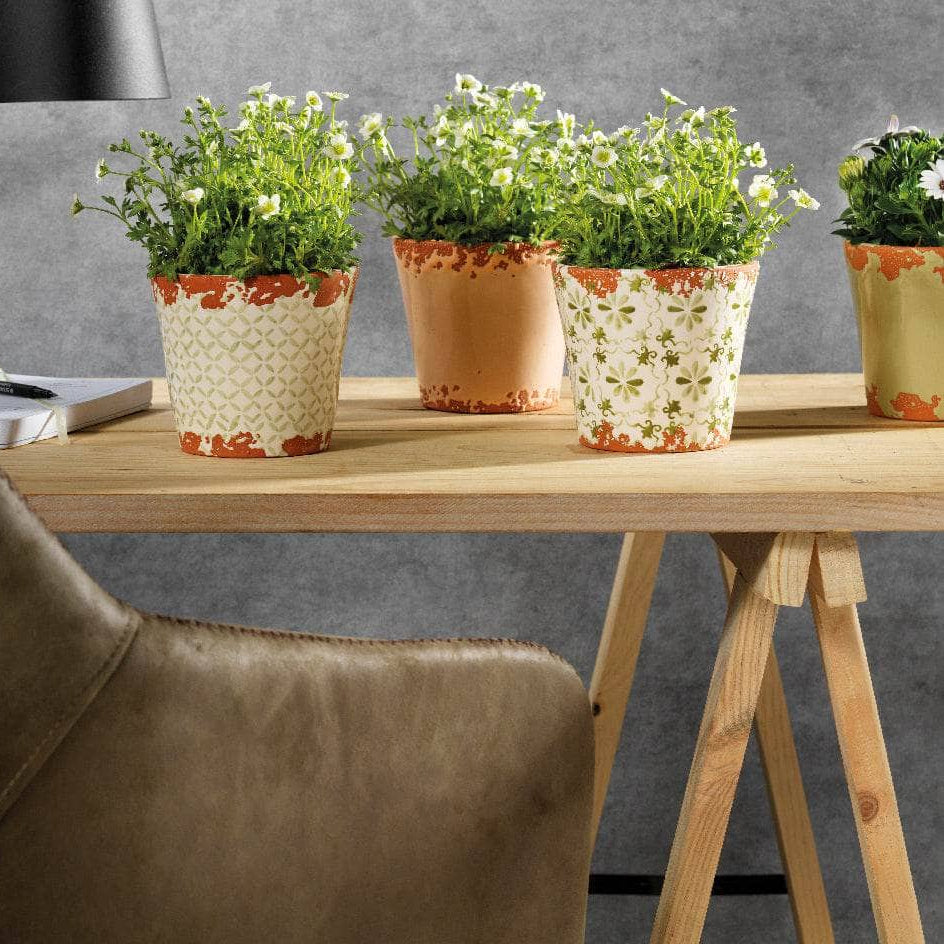 Gardening  -  Hand Decorated Terracotta Planter - Assorted  -  60009605