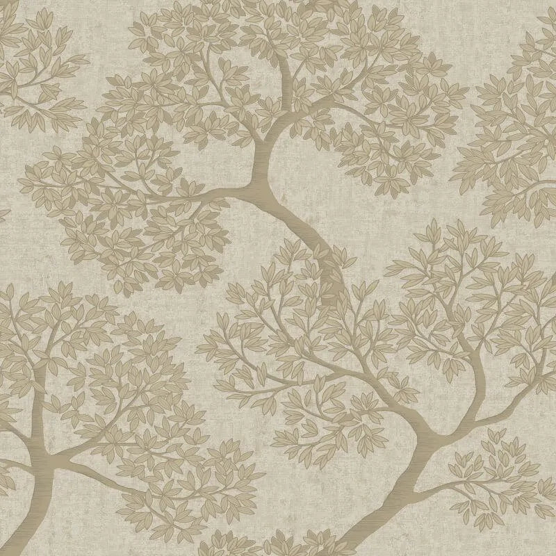 Wallpaper  -  Holden Giovanni Beige Tree Wallpaper - 36462  -  60486526