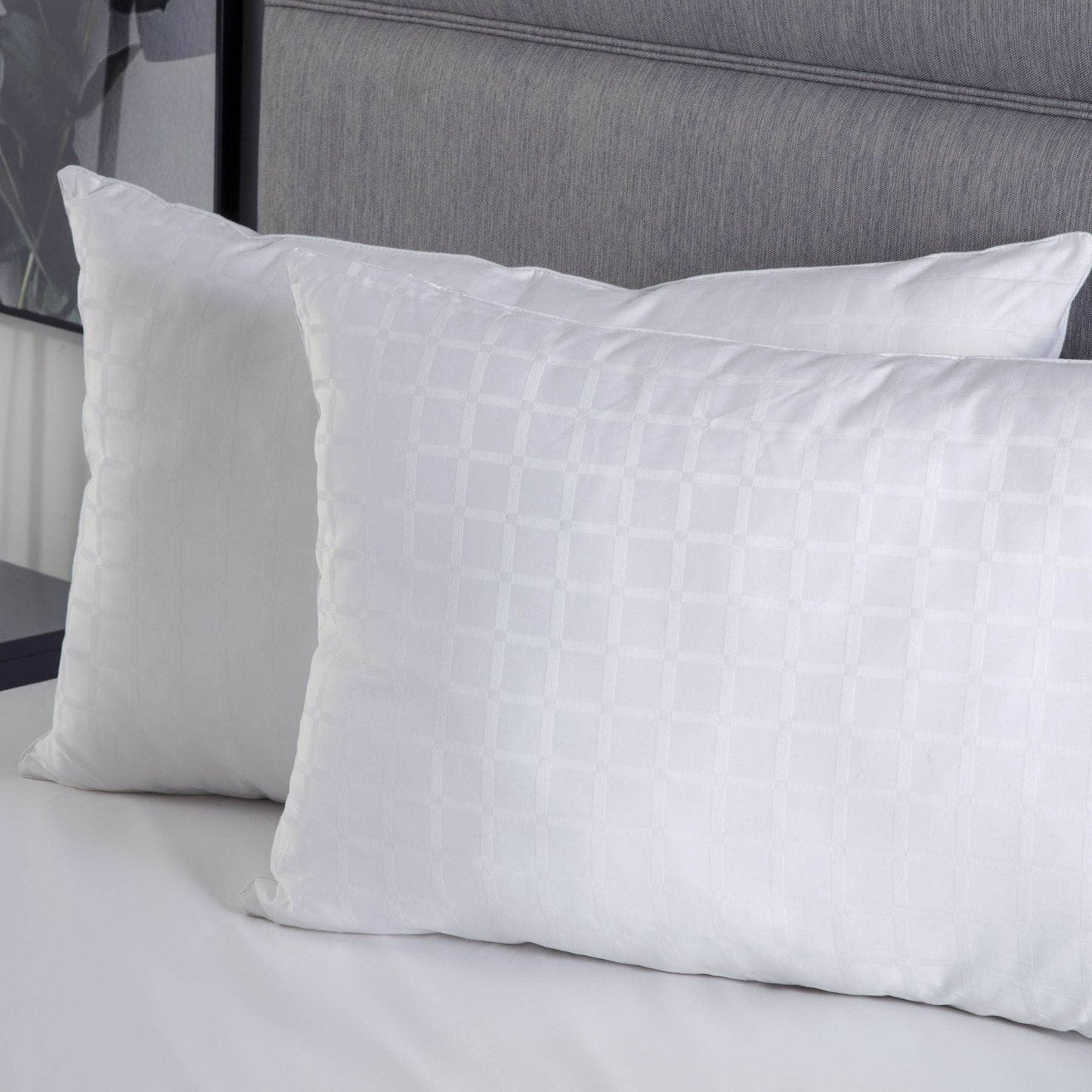Homeware  -  Hotel Luxury Filled Pillow  -  60009974