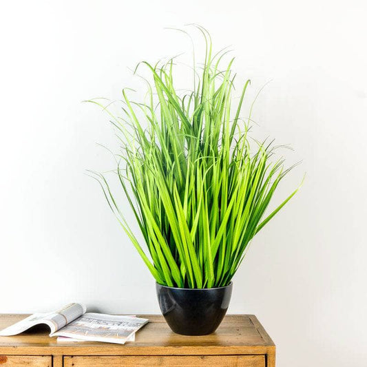 Gardening  -  Large Field Grass pot  -  60007795