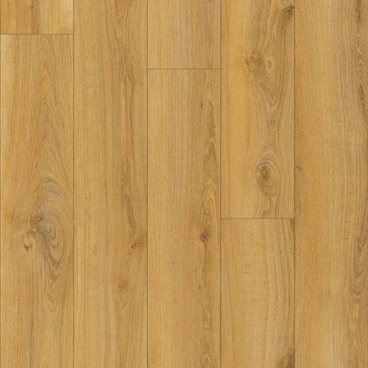 Flooring & Carpet  -  Krono Atlantic Antique Parioli Oak 8mm Laminate Flooring (2.26m² Pack)  -  60487600