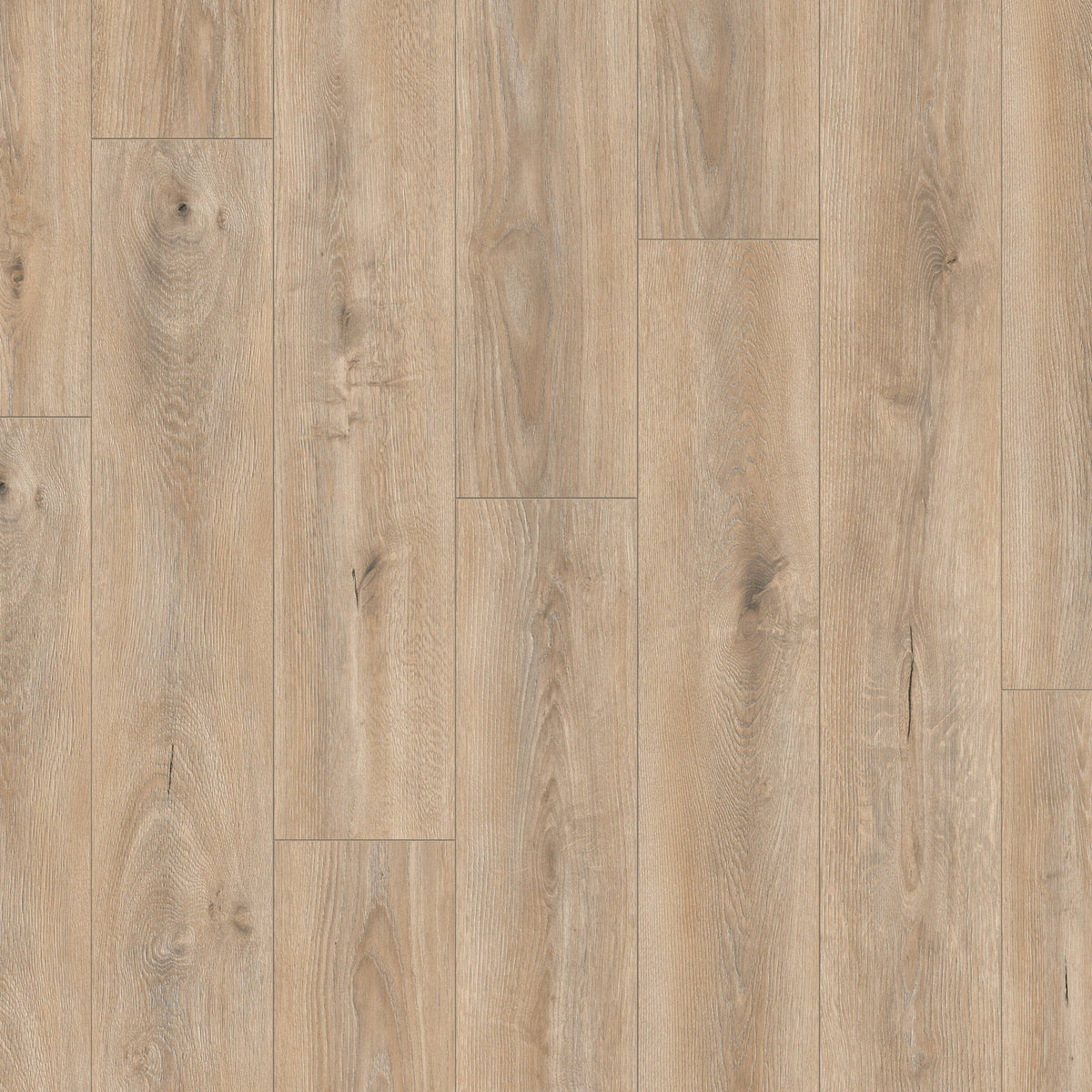 Flooring & Carpet  -  Krono Atlantic Tortilla Cashmere Oak 8mm Laminate Flooring (2.26m² Pack)  -  60487598