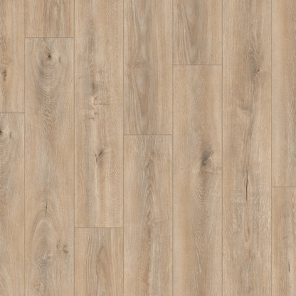 Flooring & Carpet  -  Krono Atlantic Tortilla Cashmere Oak 8mm Laminate Flooring (2.26m² Pack)  -  60487598