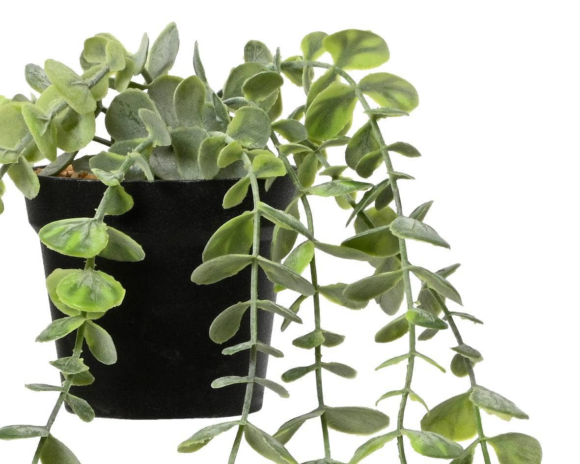 Gardening  -  Artificial Eucalyptus Pot - Green  -  60009633
