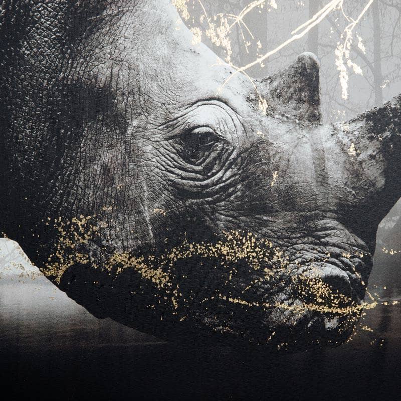 Pictures -  Monochrome Rhino Print With Gold Frame  -  60006750