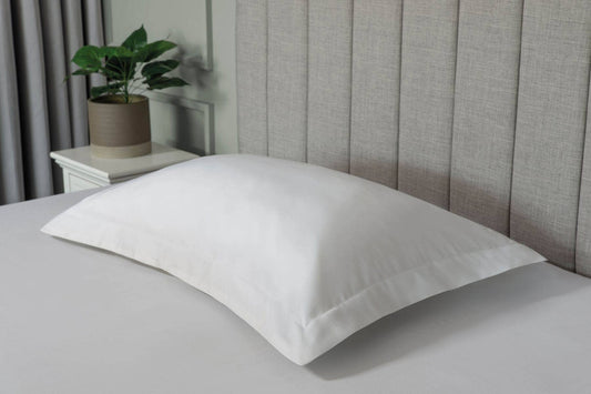 Homeware  -  Premium Blend 500 Count Oxford Pillowcase - White  -  60009840