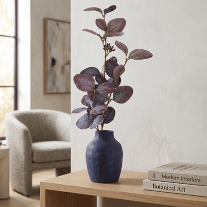 Purple Seeding Eucalyptus - 75cm