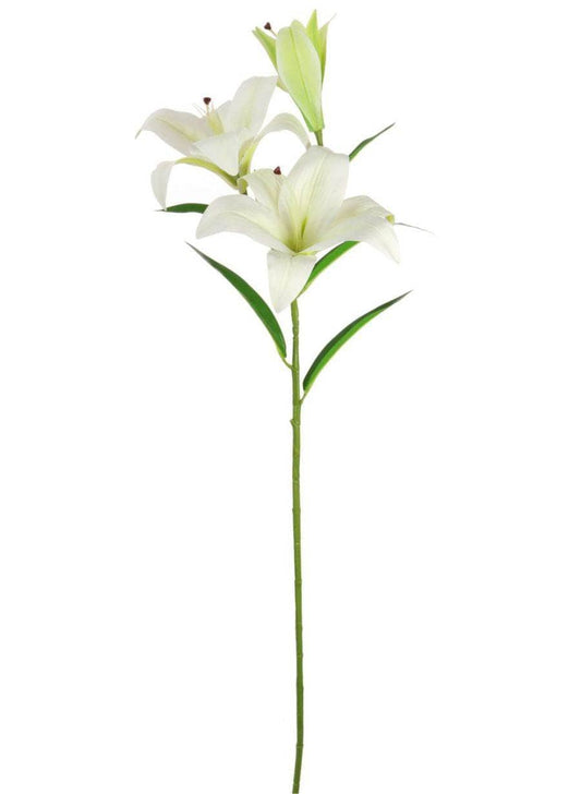 Silk Asiatic Lily - White