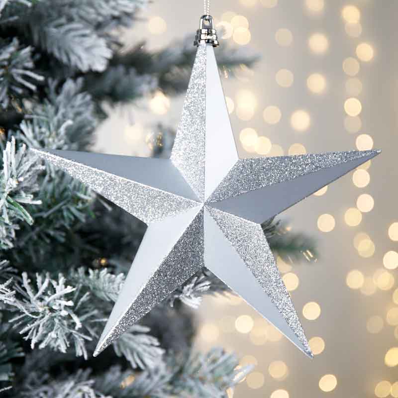 Christmas  -  Silver Star Christmas Decoration - 8"  -  60006813