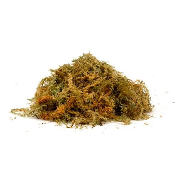 Gardening  -  Sphagnum Moss Jumbo  -  60010202