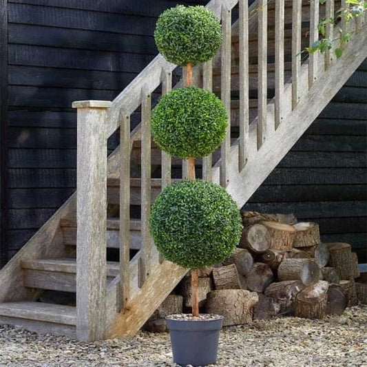 Gardening  -  Trio Topiary Tree - 150cm  -  60010113