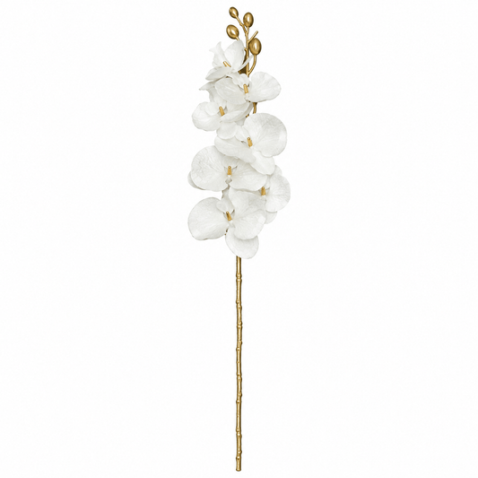 Christmas  -  White & Gold Stem - 76cm  -  60486851