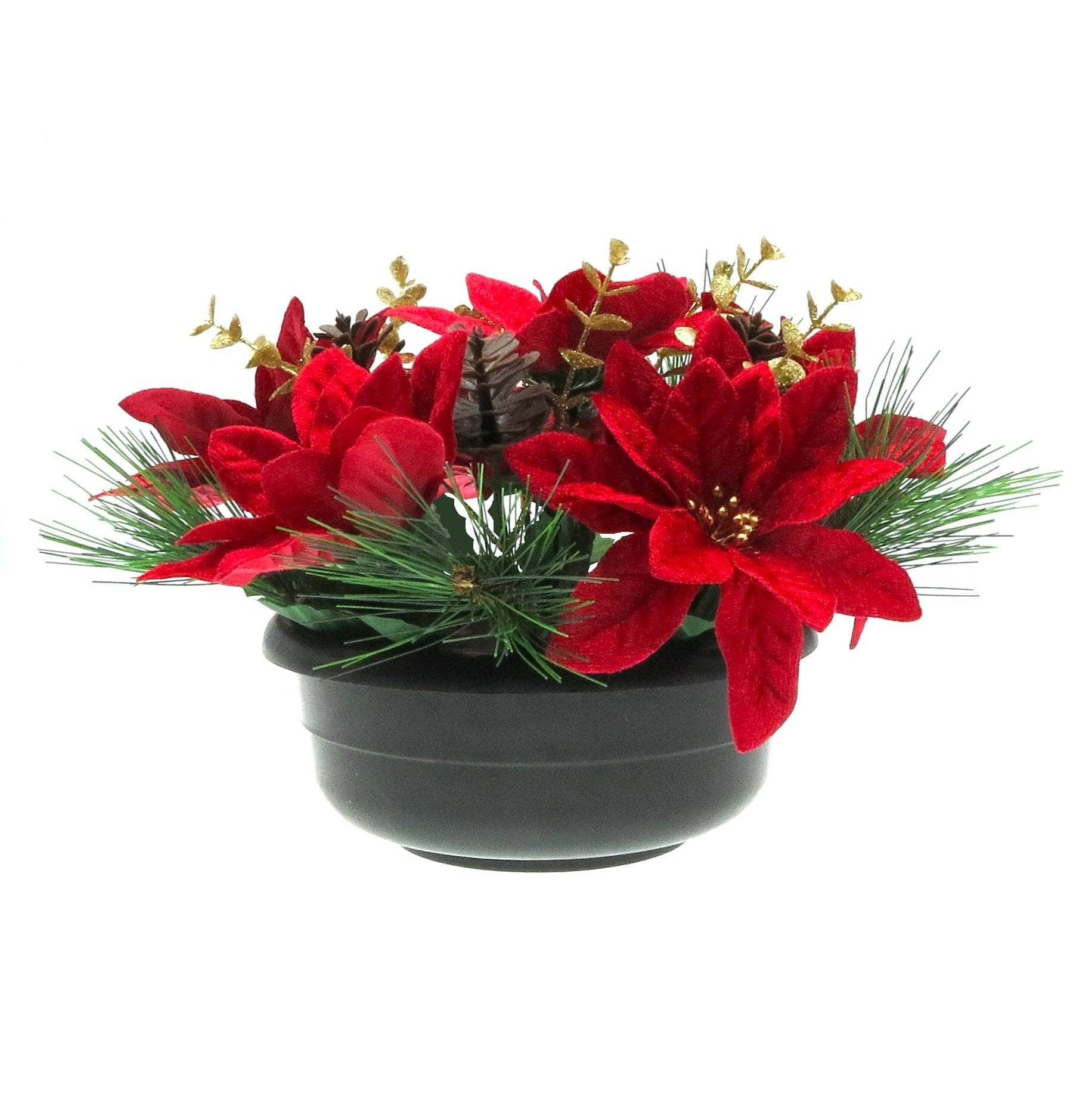 Christmas  -  Potted Red Poinsettia & Eucalyptus Plant - 24 x 16cm  -  60014568
