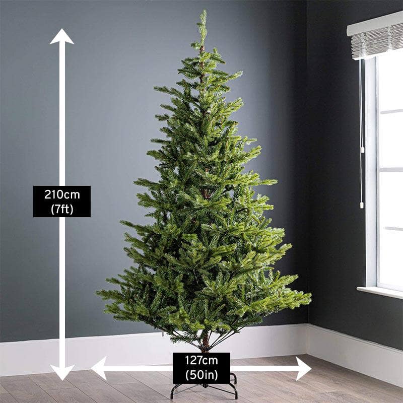 Christmas  -  Allison Pine 7ft Christmas Tree  -  50153707