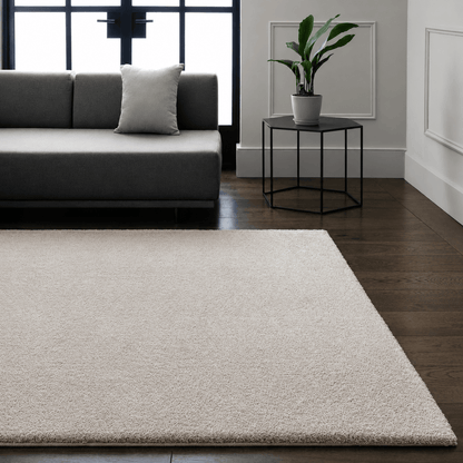 Rugs  -  Asiatic Como Silver Rug - Various Sizes  - 