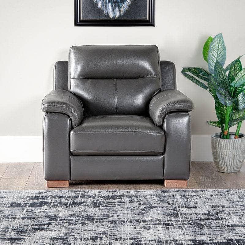 Furniture  -  Comfort King Detroit Armchair  -  50153209