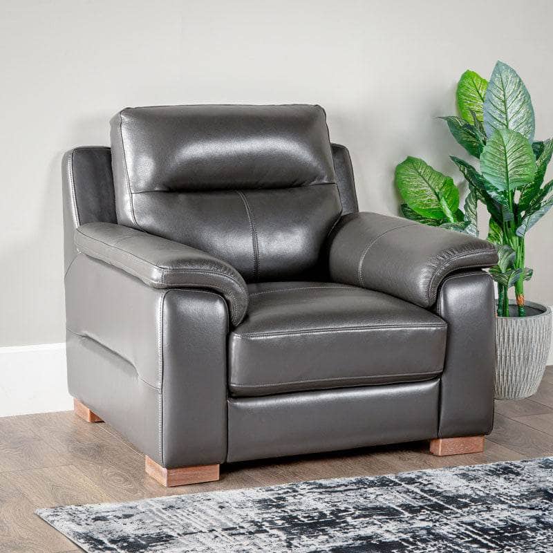 Furniture  -  Comfort King Detroit Armchair  -  50153209