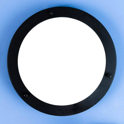 Lights  -  Pierre Ceiling Light Satin Black  -  60006383