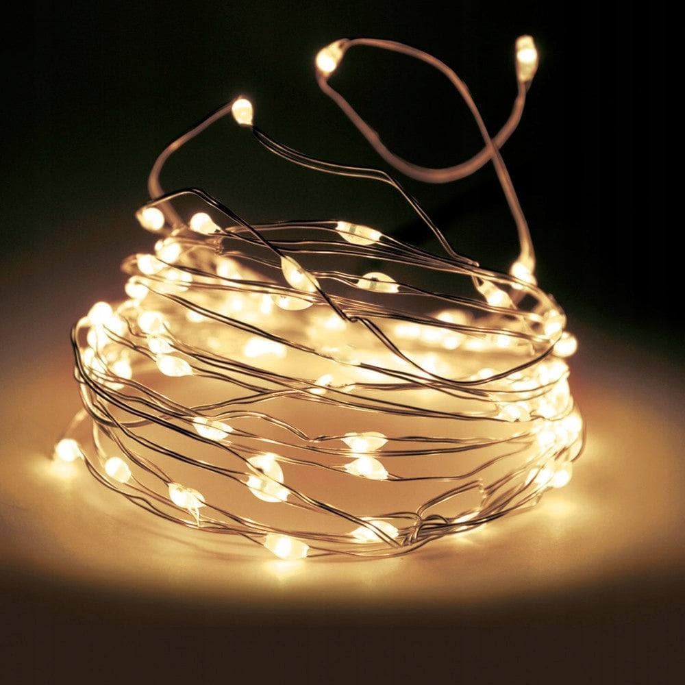 Christmas  -  Warm White Micro LED Battery Lights  -  50142601