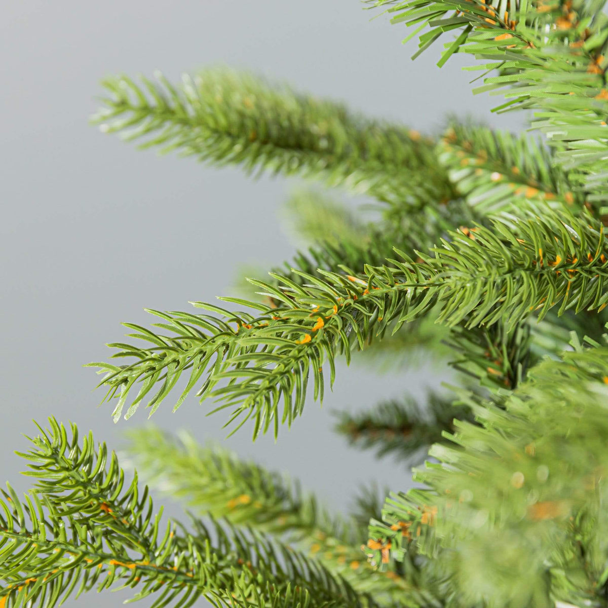 Christmas  -  Allison Pine 7ft Christmas Tree  -  50153707
