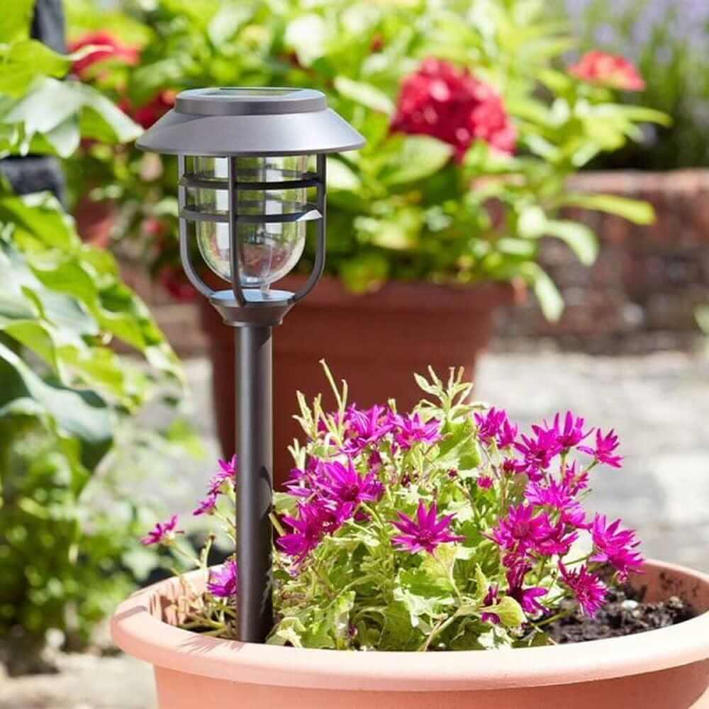 Gardening  -  Avant Solar Stake Garden Lights - 5 Pack  -  50154809