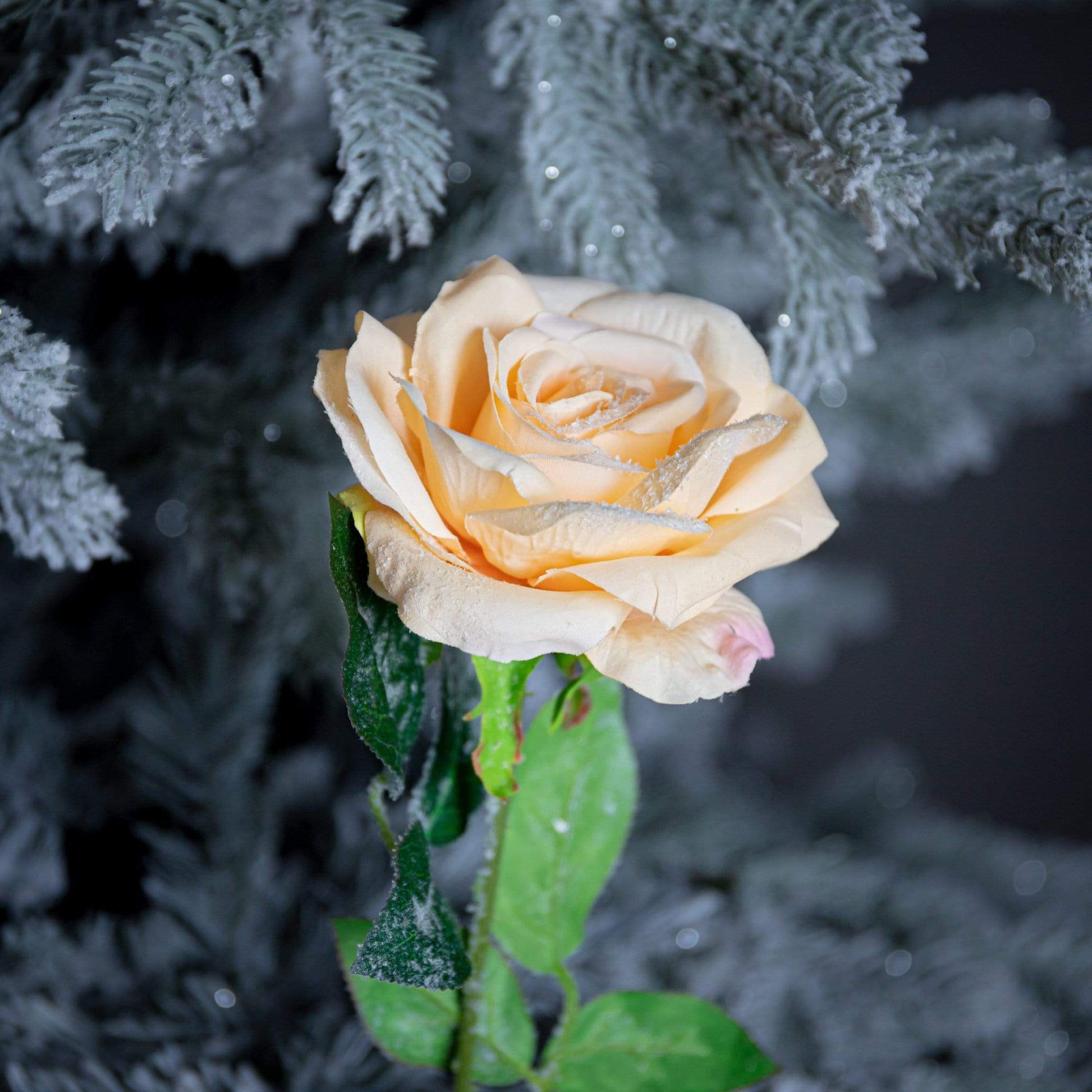 Christmas  -  Light Orange Rose Stem - 55cm  -  50149252