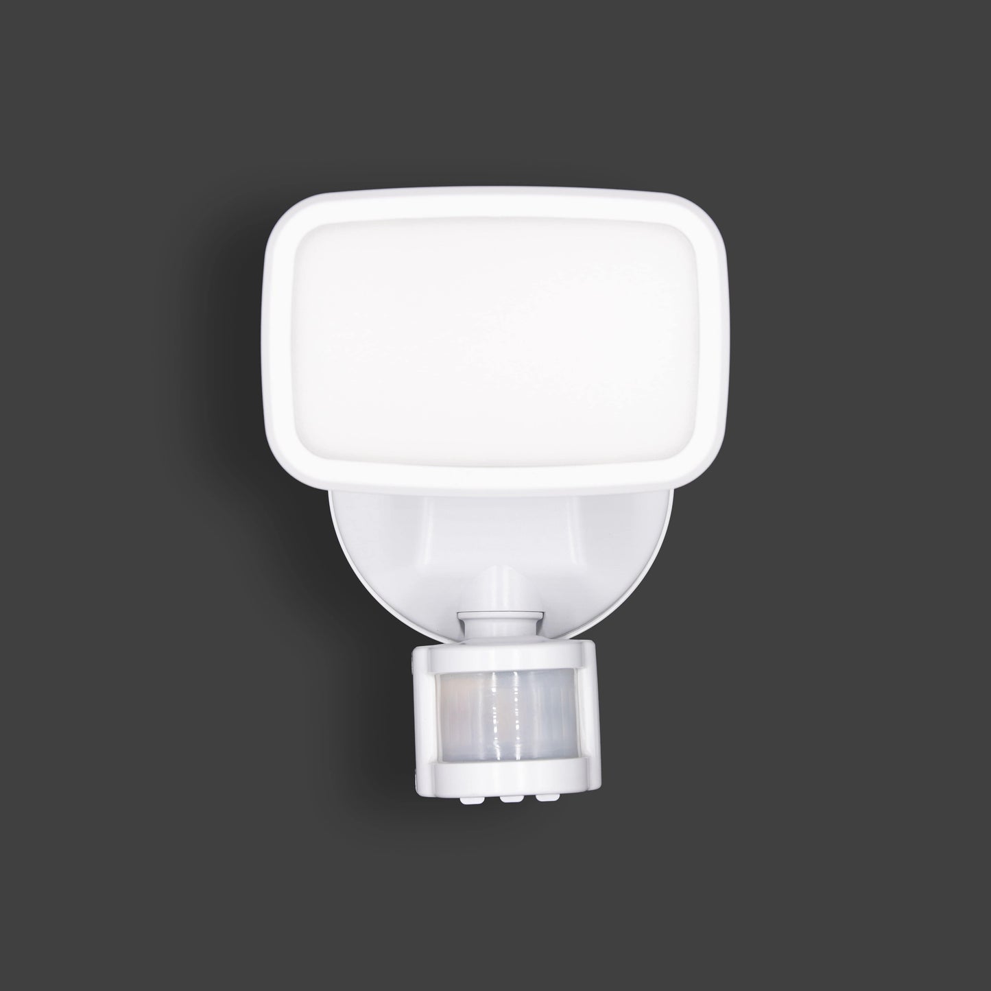 Lights  -  Lynn Security Spotlight - White  -  60002032
