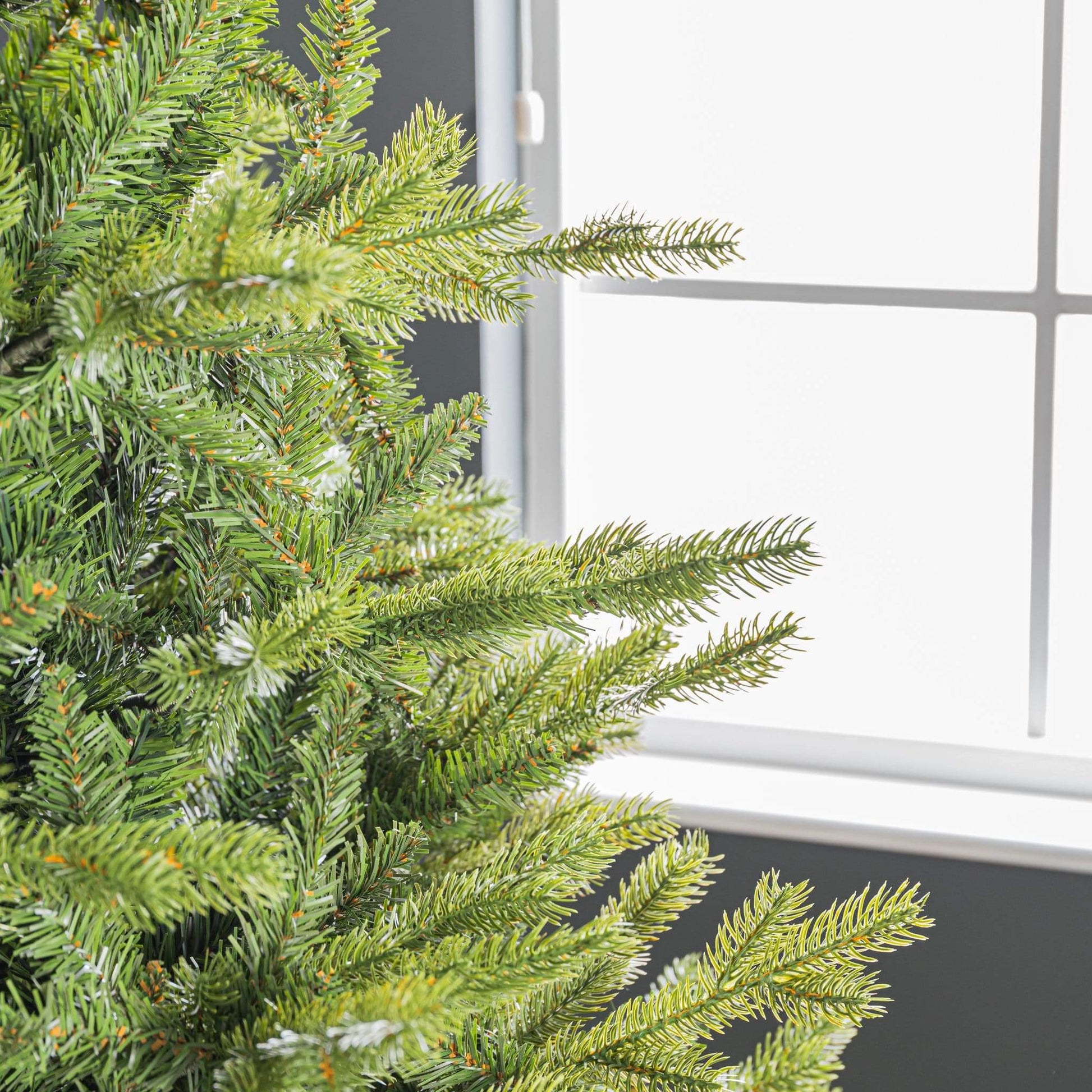 Christmas  -  Allison Pine 7ft Christmas Tree  -  50153707