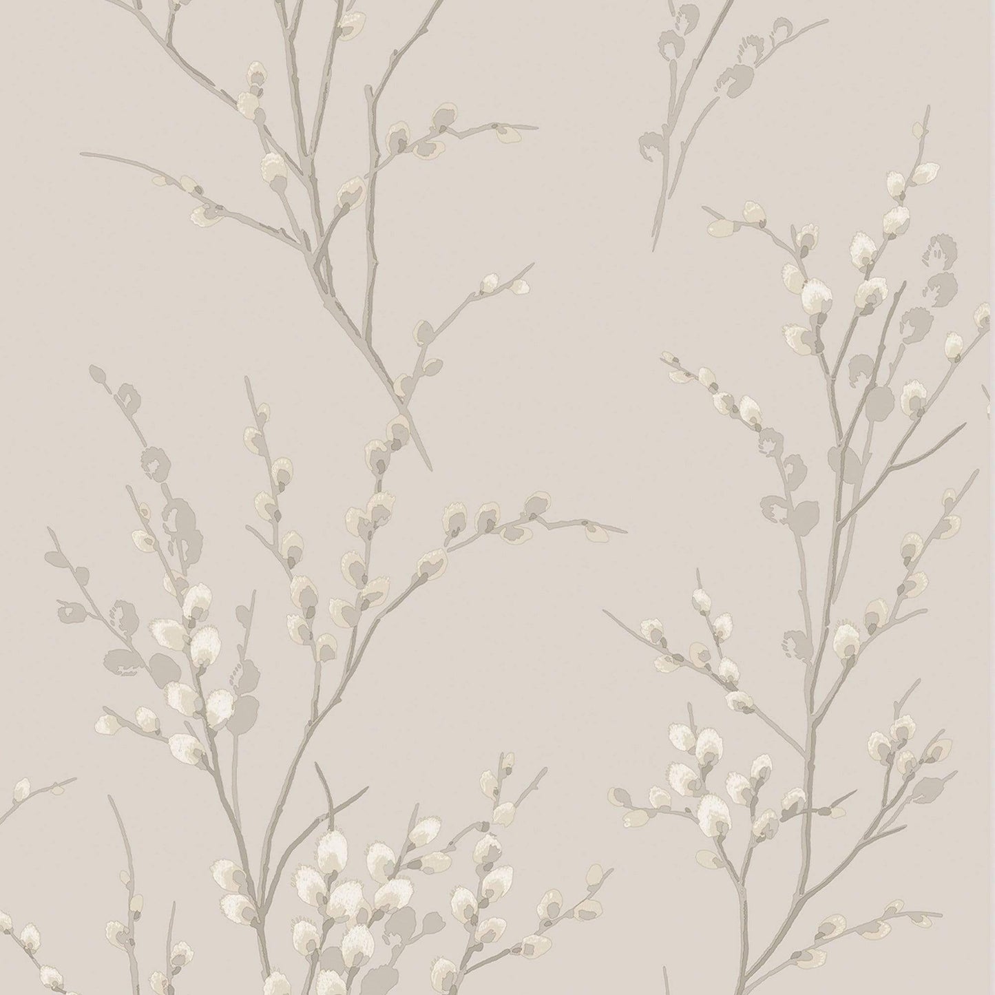 Wallpaper  -  Laura Ashley Pussy Willow Dove Grey Wallpaper - 113361  -  60001898