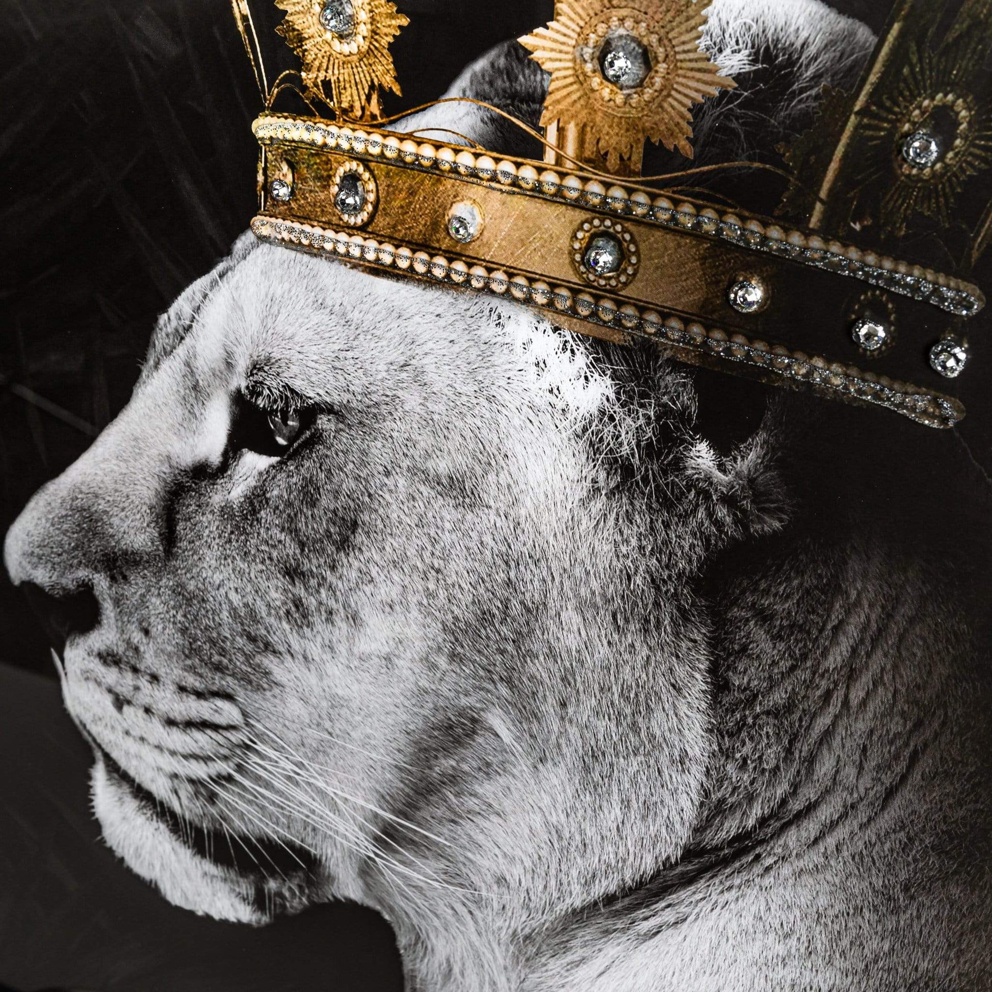 Pictures  -  Lion And Lioness Picture And Frame  -  50152112