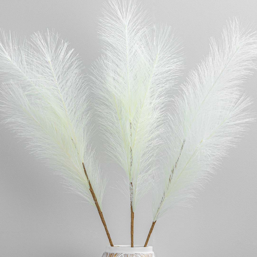 Gardening  -  Off White Pampas Grass Stem - 80cm  -  60002639