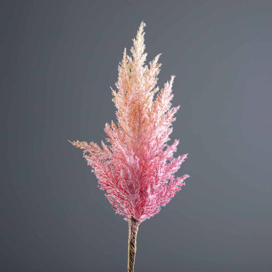 Gardening  -  Pink Pampas Grass Stem 90cm  -  60002614