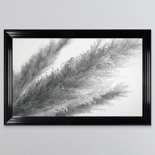 Pictures  -  Shh Black and White Pampas Frame 114cm x 74cm  -  60003243