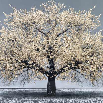 Pictures  -  Shh Champagne Cherry Tree Framed Picture  -  50155647