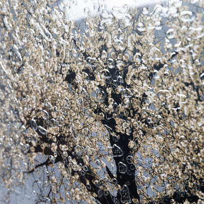 Pictures  -  Shh Champagne Cherry Tree Framed Picture  -  50155647