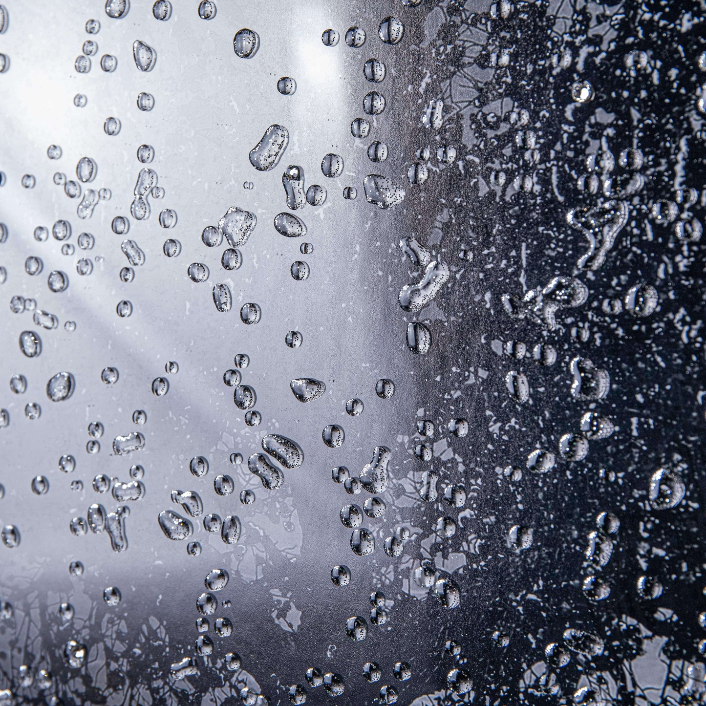 Pictures  -  Cherry Tree Matt Black Framed Picture  -  60003246