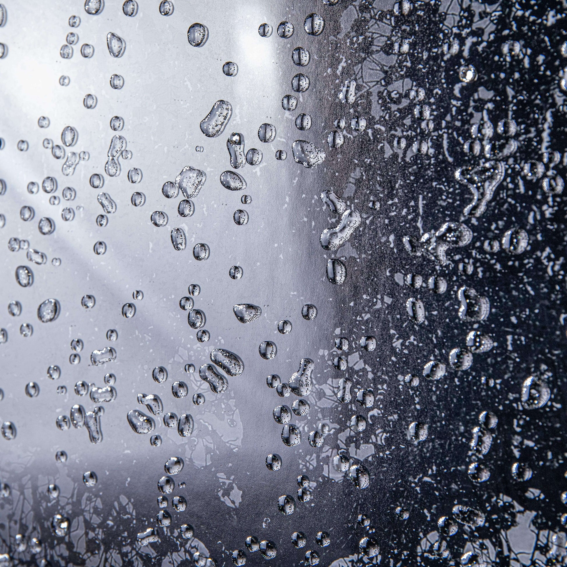 Pictures  -  Cherry Tree Matt Black Framed Picture  -  60003246