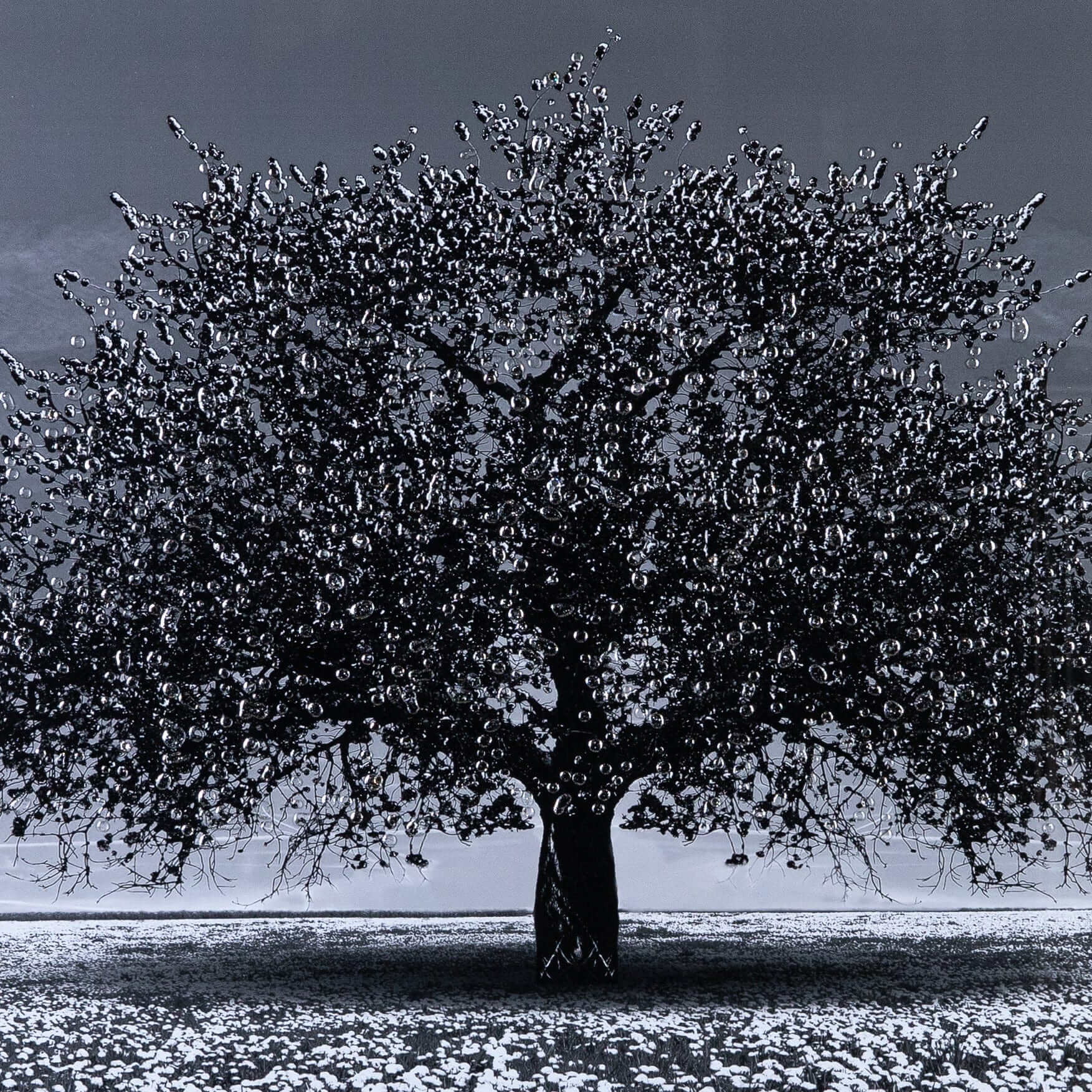 Pictures  -  Cherry Tree Matt Black Framed Picture  -  60003246