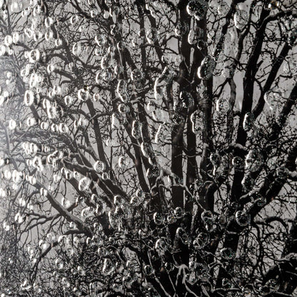 Pictures  -  Shh Chrome Winter Tree Framed Picture 6868  -  50145357